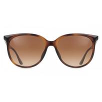 Ray Ban Women Sunglasses Asian Fit Rb4378f 710 13 Havana/54-16-145 brown