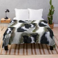 Borderkolis bėgantis vandenyje vilnos pledas, minkštas šiltas pledas lovai, sofai, foteliui, namų šildymui, dekoravimui, dovanų idėja Size: 75*100cm, Weight: 230 GSM