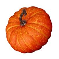 Realistic Foams Pumpkin Model Decors For Autumn Harvest Halloween Thanksgiving Party DIY Crafts Projects Ornament Gift oranžinė