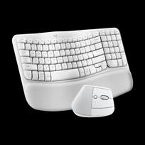 Logitech Wave Combo Ergonomic Wireless Keyboard & Vertical Mouse