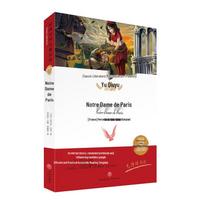 The Hunchback of Notre Dame Classic Literature black