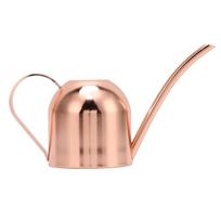Watering Can for House Bonsai Garden Flower Outdoor Indoor Plants Long Spout Pot Stainless Steel Rose Gold beige