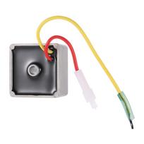 Briggs & Stratton įtampos reguliatoriaus keitimas 691188 491546 793360 794360