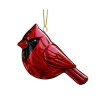 Kalėdiniai paukščių papuošalai Plastikinis kolibris, raudonu krūtinėlė, pelėda, mėlynasis kėkštas, kingfisher Kalėdinės eglutės kabinami papuošalai Atminimo dovanos paukščių mylėtojams B red