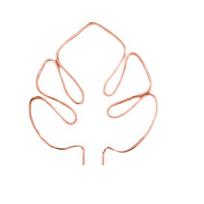 Monstera formos augalų stovas Atsparus rūdijimui Atsparus korozijai Paprastas montavimas Atrama vazoniniam augalui Gėlės formos atraminis kuolas beige