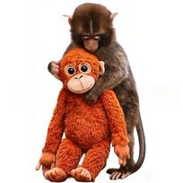 Protect Punch Monkey Doll Keychain Soft Stuffed Anime Toy for Car Bag Pendant Decoration one size black
