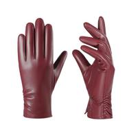 Fleece Lined Five Finger Gloves Windproof Winter Warm Gloves Women's Gloves  Outdoor Cycling vyno raudonos spalvos