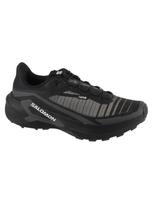SALOMON Vyriški bėgimo batai, GENESIS 2 GTX WIDE L45388500