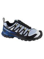 SALOMON Vyriški laisvalaikio batai, XA PRO 3D V9 GTX ICON L45486500