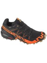 SALOMON Vyriški laisvalaikio batai, SPEEDCROSS 6 GTX L47879500