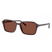 Ray Ban Rb2231f Raimond Asian Fit 1416c5 Unisex Sunglasses Transparent Fantasy Violet/Red/56-18-145 brown