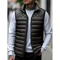 Men's Solid Color Fleece-lined Zip-up Vest, Stand Collar, Sleeveless, Outdoor Casual Warm Vest Jacket L juoda
