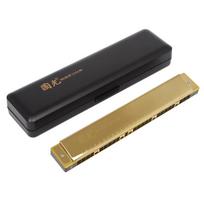Guoguang 28 Hole Harmonica Polyphony Accent C Harmonica Students Beginners Professional Performce Harmonica wind Instruments auksas