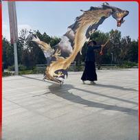 Golden Dragon Dance Ribbon Streamer