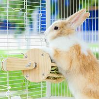Hay Feeder for , Cage Hanging Rack, Food Feeding Manger, Sturdy Guinea Pig Grass Holder,Food white