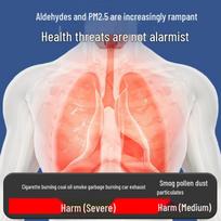 KN95 Activated Carbon Anti-Odor Mask