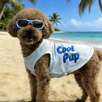 Dog Clothes Spring And Summer Thin Small Dog Breathable Ice Silk Vest Bichon Teddy Pet Bipeds Mesh Vest L