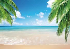 Hawaii Blue Ocean Sunset Beach Backdrop Tropical Summer Photozone Background Palm Tree Wave Sand Ship Portrait Photography Prop 90.6x70.8inch/230*180cm blue