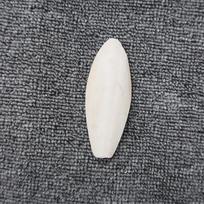 Plastikinis sepijos kaulo laikiklis papūgoms Paukščių Aksesuarai Kalcio Vitaminų Papildymas cuttlebone white