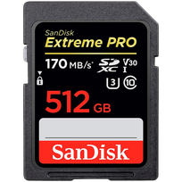 MEMORY SDXC 512GB UHS-1/SDSDXVV-512G-GNCIN SANDISK|SDSDXVV-512G-GNCIN