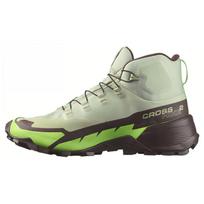 Salomon Cross Hike 2 Mid GORE-TEX Desert Sage Green Gecko Men Sneakers Chocolate-Plum L47277700 42