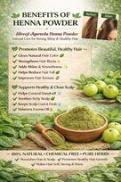 Shreeji Ayurveda Sojati Henna Powder (Maruthani, Gorintaku, Mailanchi) | 100% Pure & Natural Sojati Mehndi for Hair Colour & Hand Design | Purity