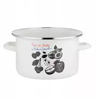 Mateuszo Gesslerio emaliuotas puodas Emalia Pleszew Fruits 20 cm 3,75L