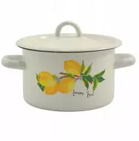 Net Pol Emalio puodas 16cm 2L su citrina