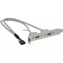 InLine USB 2.0 lizdų laikiklis 2x USB A moteriška į 1x 10 kontaktų jungtį 0,35 m