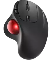 Perixx 11568 belaidė pelė RF, USB Type-A, lazerinė, 1000 DPI (11568)