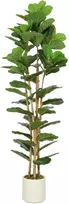 Aosom Dirbtinis lyralapis fikusas vazone su 91 lapu, 180 cm