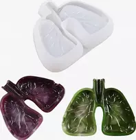 Silikoninės formos dervos liejimo plaučių formos namų tobulinimas