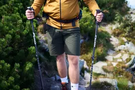 TREKKING POLES sulankstomos šiaurietiško ėjimo lazdos, skirtos žygiams po kalnus RG CAMP