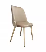 GOYA MG06 valgomojo ir svetainės kėdė - auksinės kojos Elegantiška aksominė kėdė