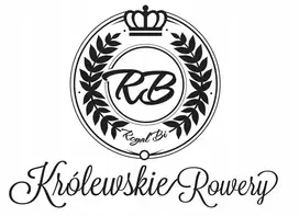 RoyalBi Dviračių purvasargiai 26 miesto dviratis CRUISER SET TURABLE COLRS