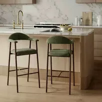 Minkšta baro kėdė, žalia, moderni, riešuto spalvos plieno rėmas
