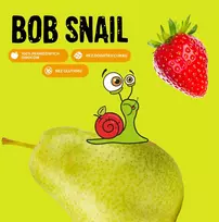 BOB SNAIL vaisių batonėlis OBUOLIŲ BLUEBERRY anakardžiai be pridėtinio cukraus 15x35 g