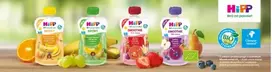 HiPP BIO vaisių putėsiai PEARS BANANAS KIWI 100g po 6 mėn.