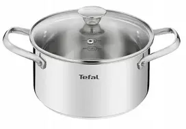 TEFAL PUODAS 20 CM INDUKCINIS NERŪDIJANČIO PLIENO INOX