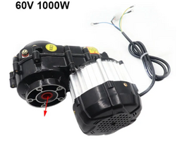 Citycoco triracio variklis 1000w