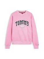 Tommy Jeans Megztinis be užsegimo 'Varsity Crest' tamsiai mėlyna / turkio spalva / šviesiai rožinė / balta