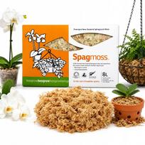 Natūralios Besgrow Sphagnum samanos, 100g 8L, Naujoji Zelandija