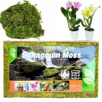 Sphagnum moss durpių samanos, įsišaknyti skatinantis substratas 150 g / 12 l terariumams