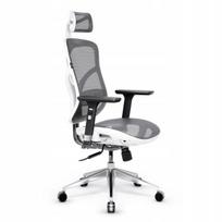Ergonominė biuro kėdė Diablo V-Basic, balta-pilka