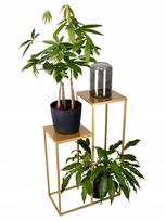 Pastatomas metalinis gėlių stovas, lentyna augalams, Loft stiliaus, 80 cm, auksinis