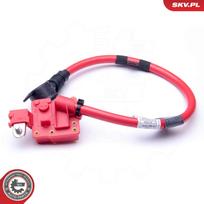 Akumuliatoriaus adapteris ESEN SKV 96SKV306