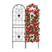Vijoklinių augalų grotelės Relaxdays 10052895, 2 vnt, 50 × 180 × 1,5 cm