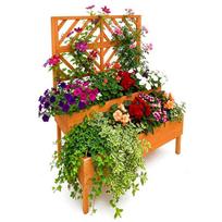 Vazonas Relaxdays 10052782_599, dviejų aukštų su grotelėmis, Oranžinė, 109 × 135 × 62 cm