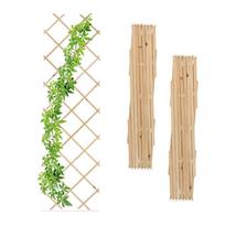Sieninės grotelės vijokliniams augalams Relaxdays 10048818.0, 3 vnt, 180 × 60 × 1,5 cm