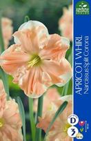 Narcizai Apricot Whirl